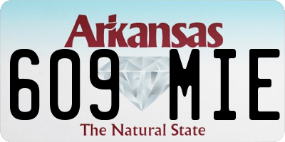 AR license plate 609MIE