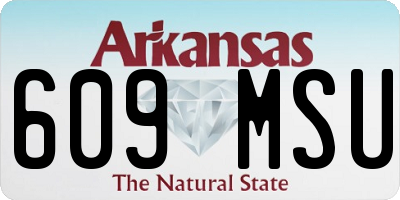 AR license plate 609MSU