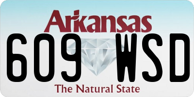 AR license plate 609WSD