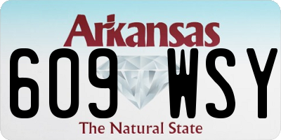 AR license plate 609WSY