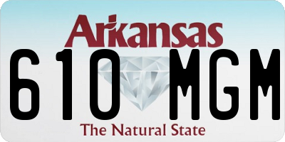 AR license plate 610MGM