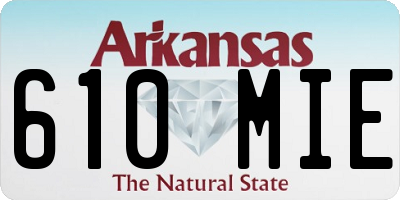 AR license plate 610MIE