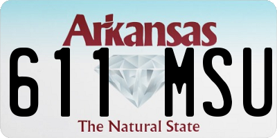 AR license plate 611MSU