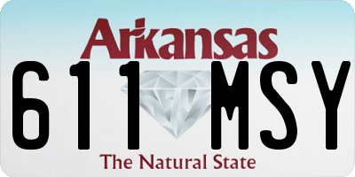 AR license plate 611MSY