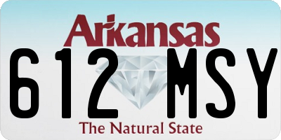 AR license plate 612MSY