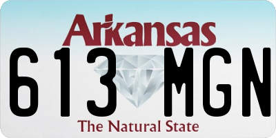 AR license plate 613MGN