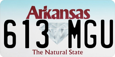 AR license plate 613MGU