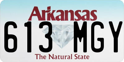 AR license plate 613MGY