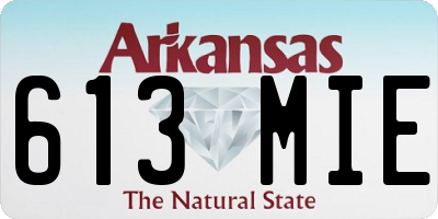 AR license plate 613MIE