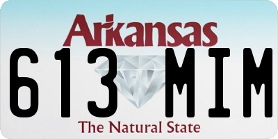 AR license plate 613MIM