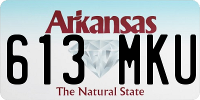 AR license plate 613MKU