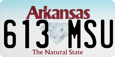 AR license plate 613MSU