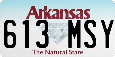 AR license plate 613MSY