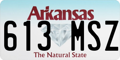 AR license plate 613MSZ