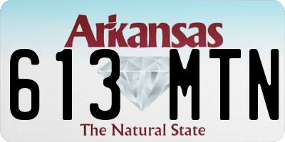 AR license plate 613MTN