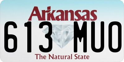 AR license plate 613MUO