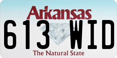 AR license plate 613WID