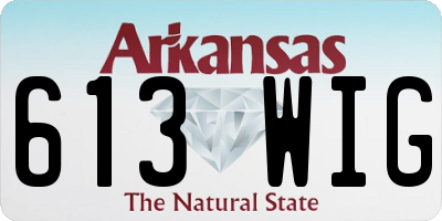 AR license plate 613WIG