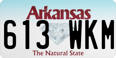 AR license plate 613WKM
