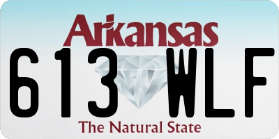 AR license plate 613WLF