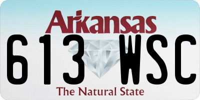 AR license plate 613WSC