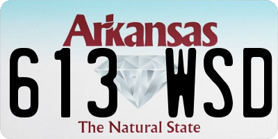 AR license plate 613WSD