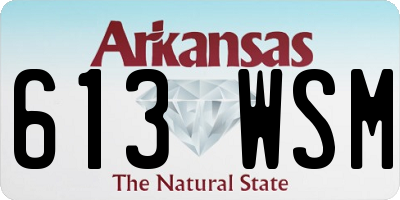 AR license plate 613WSM