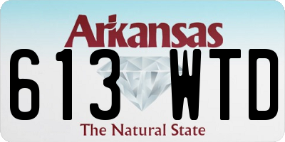 AR license plate 613WTD
