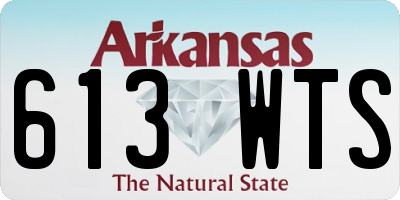 AR license plate 613WTS