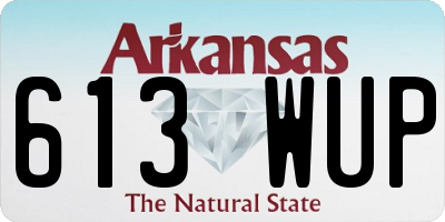 AR license plate 613WUP