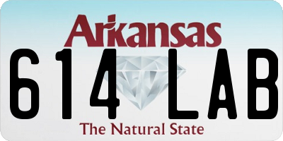 AR license plate 614LAB
