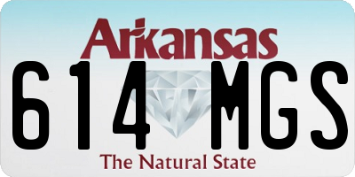 AR license plate 614MGS