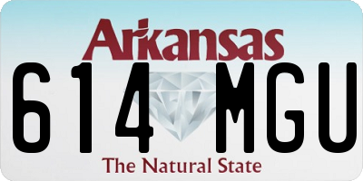 AR license plate 614MGU