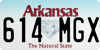 AR license plate 614MGX