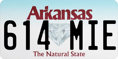 AR license plate 614MIE