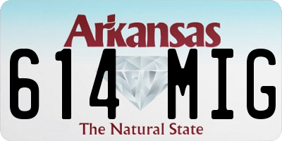 AR license plate 614MIG
