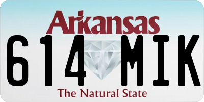 AR license plate 614MIK