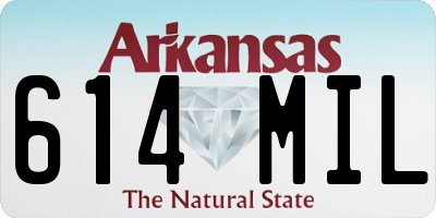 AR license plate 614MIL