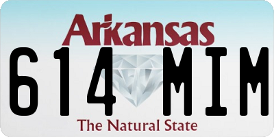 AR license plate 614MIM