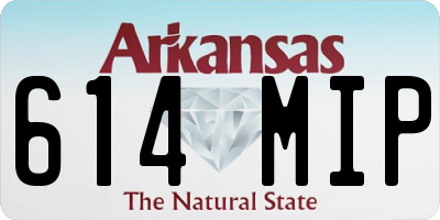 AR license plate 614MIP