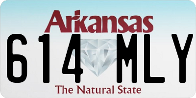 AR license plate 614MLY