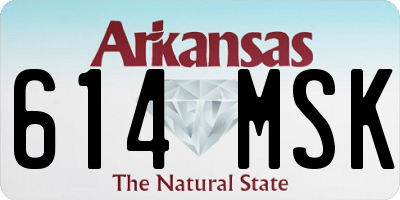 AR license plate 614MSK