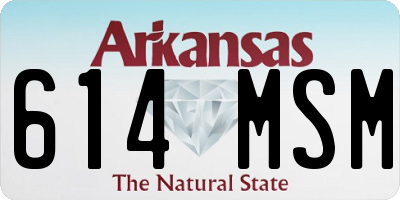 AR license plate 614MSM
