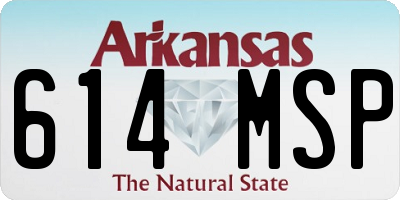 AR license plate 614MSP