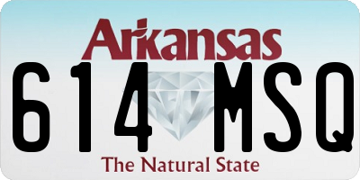 AR license plate 614MSQ