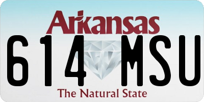 AR license plate 614MSU