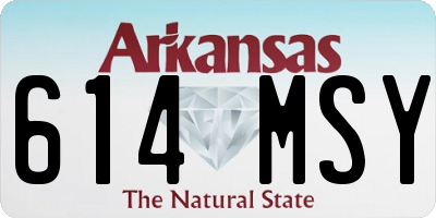 AR license plate 614MSY