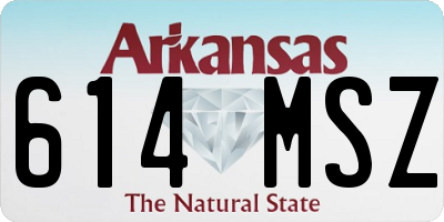 AR license plate 614MSZ
