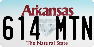 AR license plate 614MTN