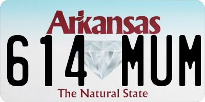 AR license plate 614MUM